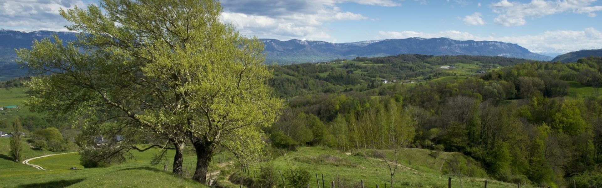 Mouintain Haute Savoie